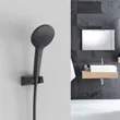 (Hafele) Showerhead with Easy Clean Hose, Black (495.60.687) image 2