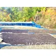 100% Arabica Coffee Beans Dark Roast 1 Kilogram image 2