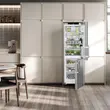 (Hafele) LIEBHERR 2-Door Refrigerator Model SCNsdh 5253 Prime (495.09.000) image 5