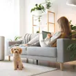(Venz) Floor Standing Air Purifier, Alta Entry Model (Alta 40) - White, Suitable for 20-40 sq.m. image 5