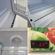 (Thecool) Beverage Cooler 1 Door Model LISA 288CF image 6