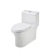(HAFELE) One-Piece Toilet - NILE 495.61.423 (588.60.453) image 3