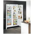 (Hafele) LIEBHERR Built-in Freezer (495.06.665) image 3