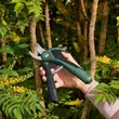 (Bosch PT) Cordless Branch Pruner EasyPrune 3.6 V image 7