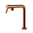 (Foster) ก๊อกน้ำซิงค์ครัวก้านโยกเดี่ยว แบบแขนพับหมุนได้ สี Copper ผิว PVD (8524 008) รูปที่ 2