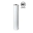 (MEX) PENTAIR Water Filter Cartridge Model RFC-20BB image 1