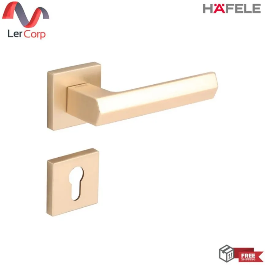 (Hafele) Lever Handle with Spring System General Room Brass Matt (489.11.044)