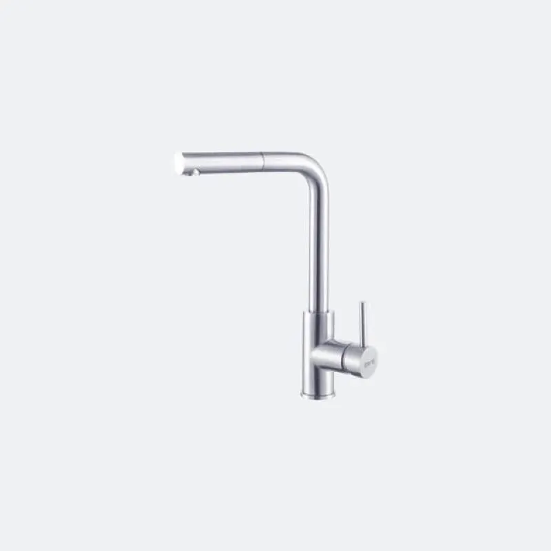 LEXI INOX Stainless Steel 2-Way Kitchen Sink Faucet